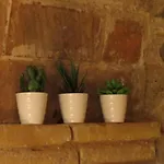 Ca La Fela - Casa De Poble