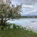 Fonoll Marí - Roses Far