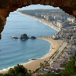 Bravaholidays-282-Palmeras-2