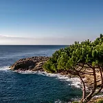 Eden Roc Hotel & Spa By Brava Hoteles