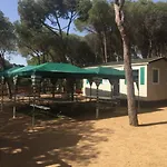 Camping Treumal