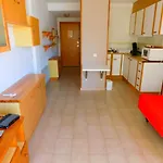 Estudio Castell Nord