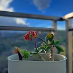 Your Holidays Apartment