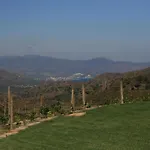 Sa Perafita - Celler Martín Faixó