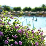 Camping Riembau