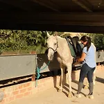 Cal Robusto, Apartament In Masia With Horses