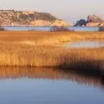 Cozy, Sunny And Close To The Beach
