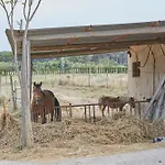 Casa Andreu