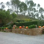 Mas Puig Roig