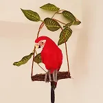 Parrot\'S House