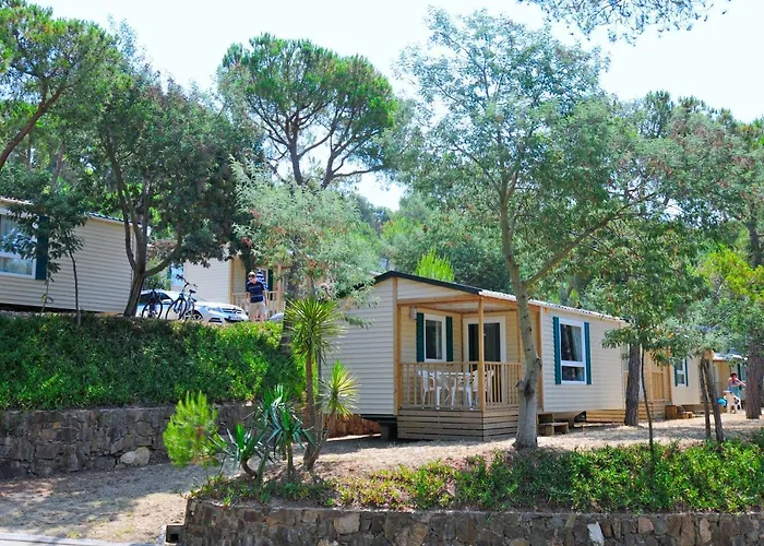 Camping Treumal