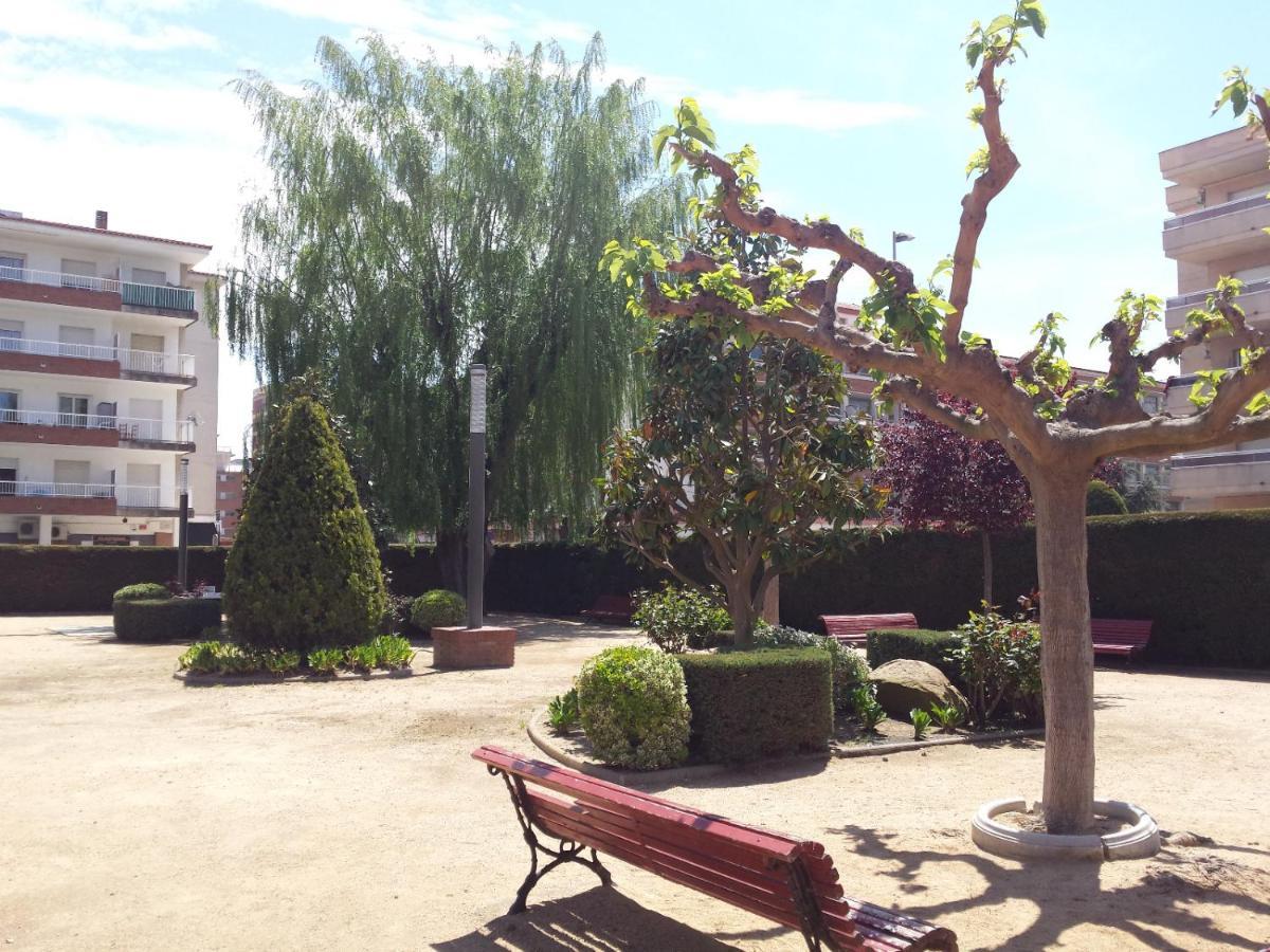 Apartamento Bravaholidays-271-zeus Blanes