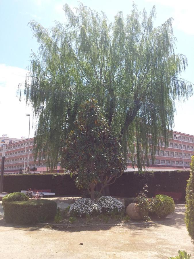 Apartamento Bravaholidays-271-zeus *
