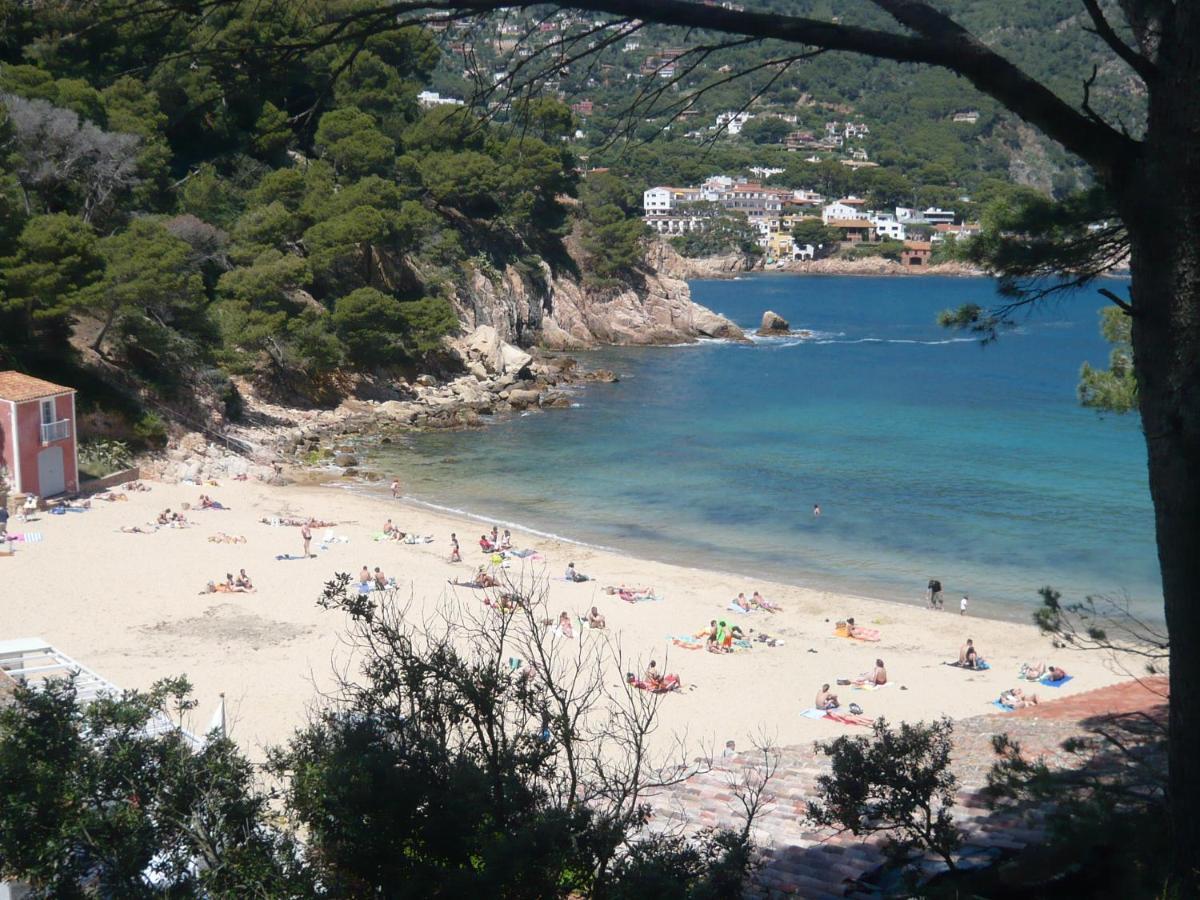 Apartamento Bravaholidays-271-zeus Blanes