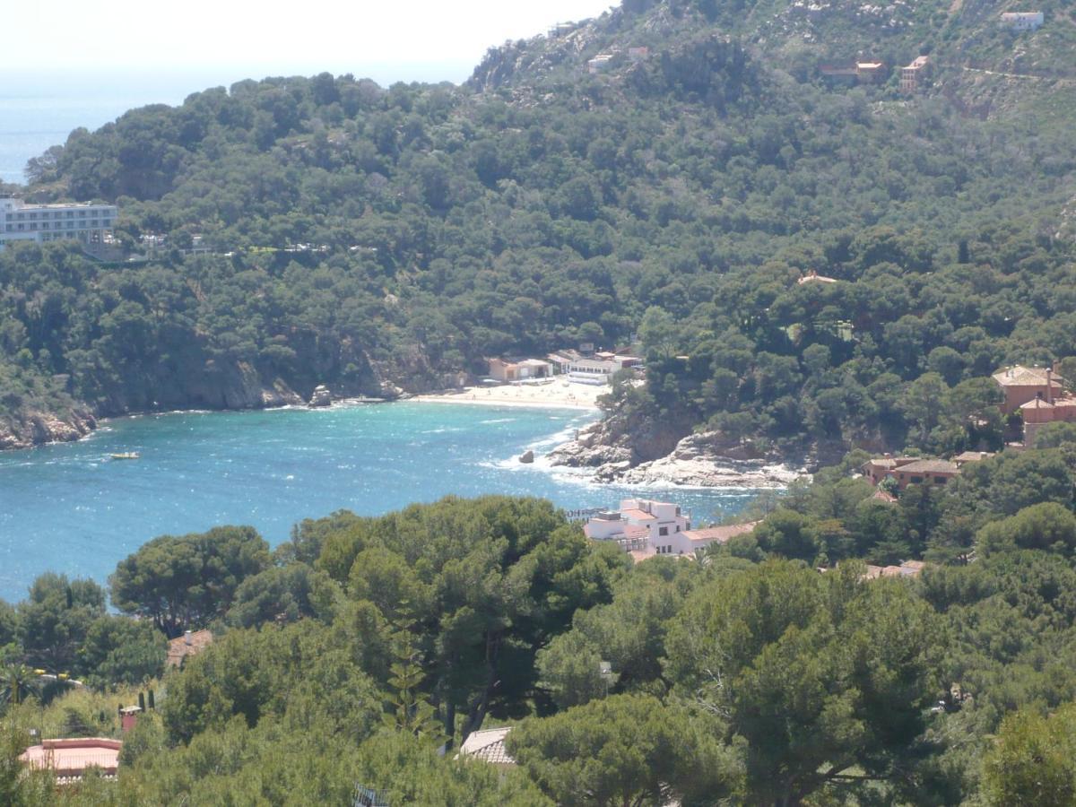 Apartamento Bravaholidays-271-zeus Blanes