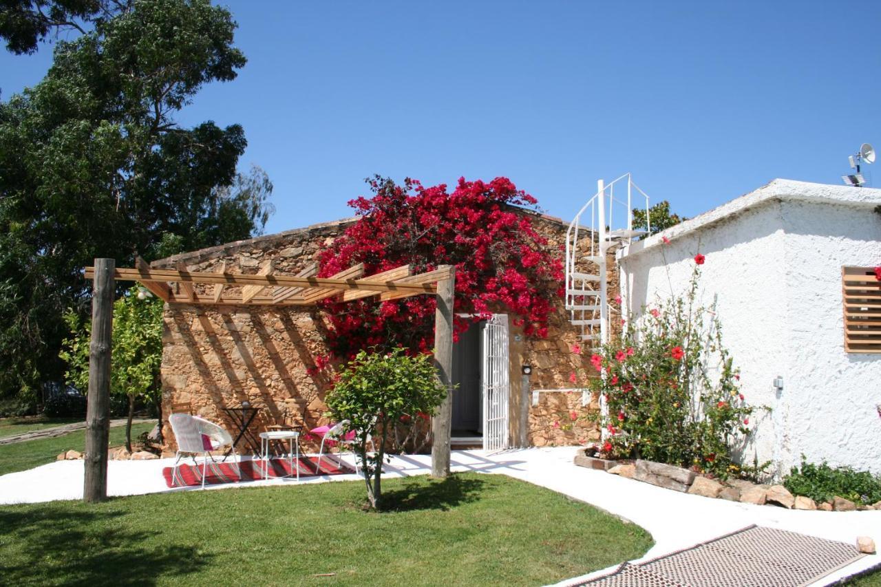 Le Rondini Bed & Breakfast Montras
