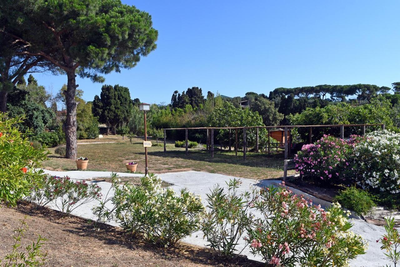 Bed & Breakfast Le Rondini