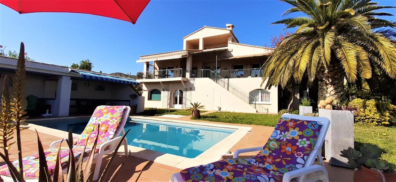 Apartamento & - Panoramic Olivars Pau