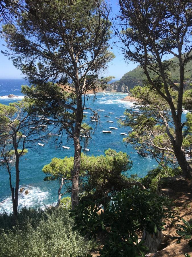 Cap Sa Sal Navy, Begur, Girona *