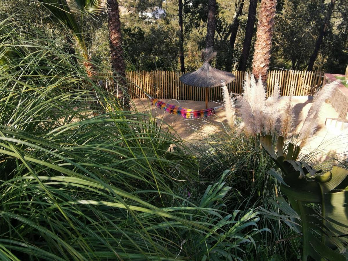 Bed and breakfast Casa La Vida