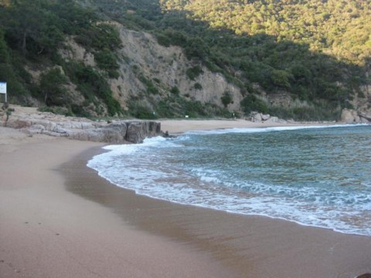 Canyet Costabravasi *