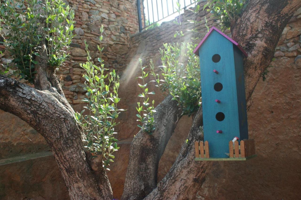 Ca L'avia Remei Holiday home *