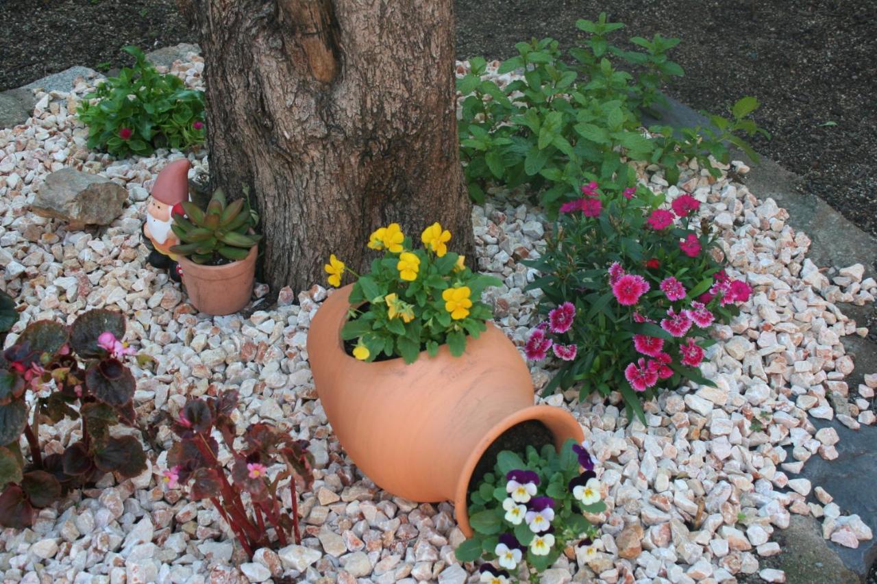 Ca L'avia Remei Holiday home Castello  D'Empuries