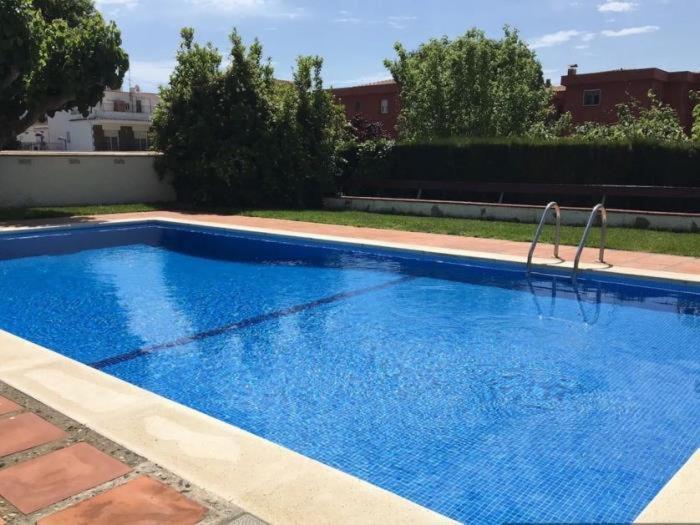 Apto Palmeras Apartamento