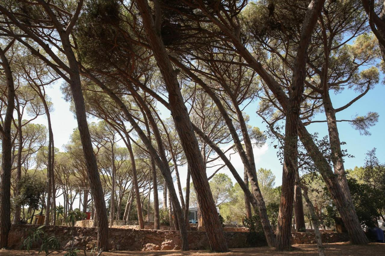 3 Estrellas Costa Brava 2*