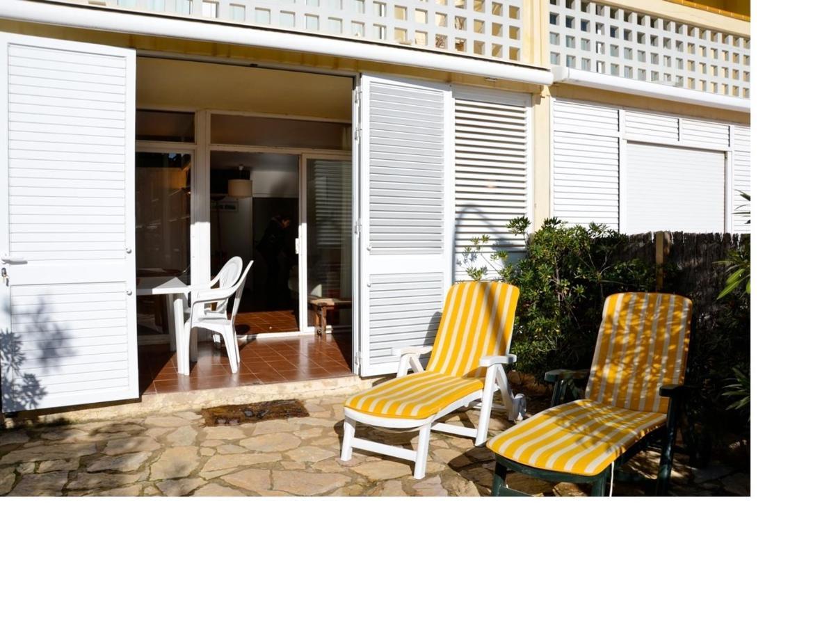 Paradis 31 *