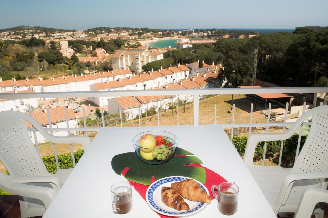 Caleta Sol Petit Apartment