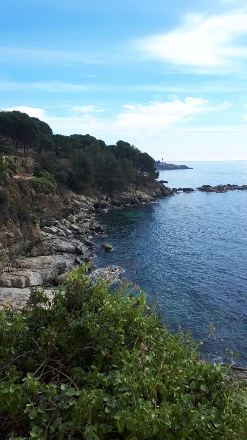 Rosas-puig Rom -vista Mar *