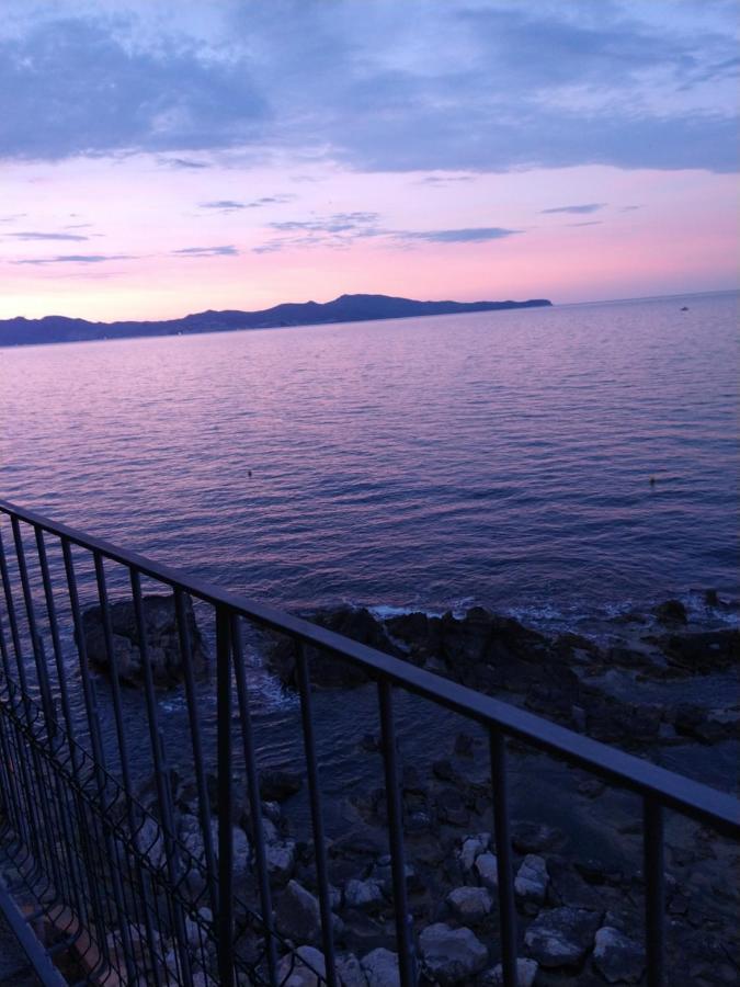 Albatros House *