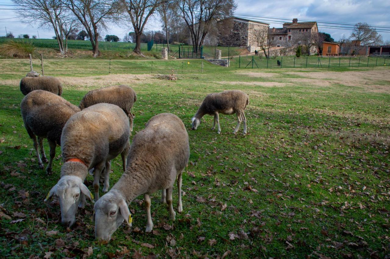 Mas Teixidor, Masia Entre Girona Y La Costa Brava Habitación en casa particular *