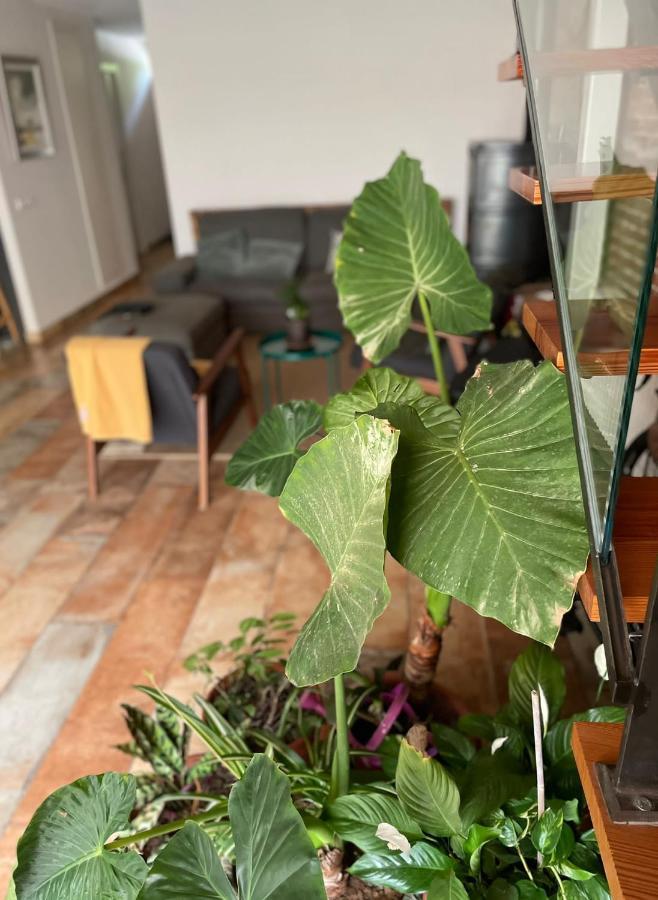 Laindustria Homestay Palamos
