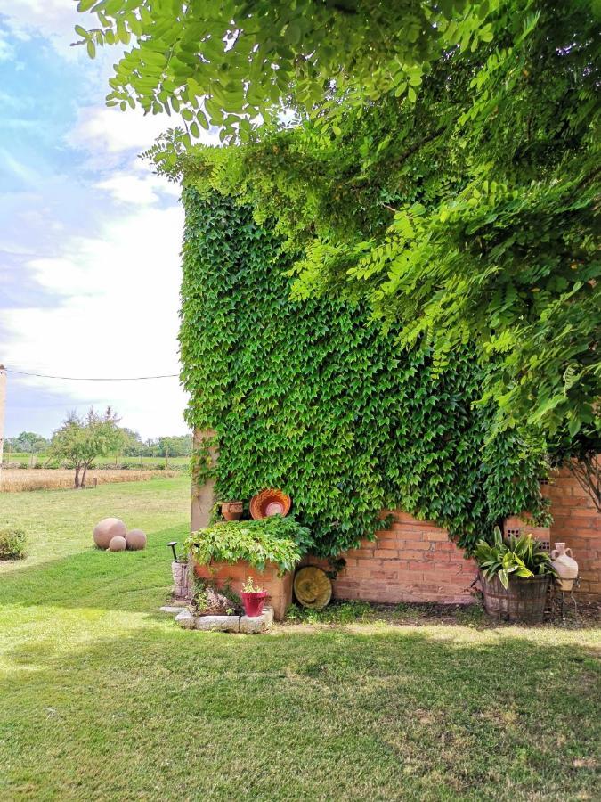 Casa rural Mas Horta Prim *