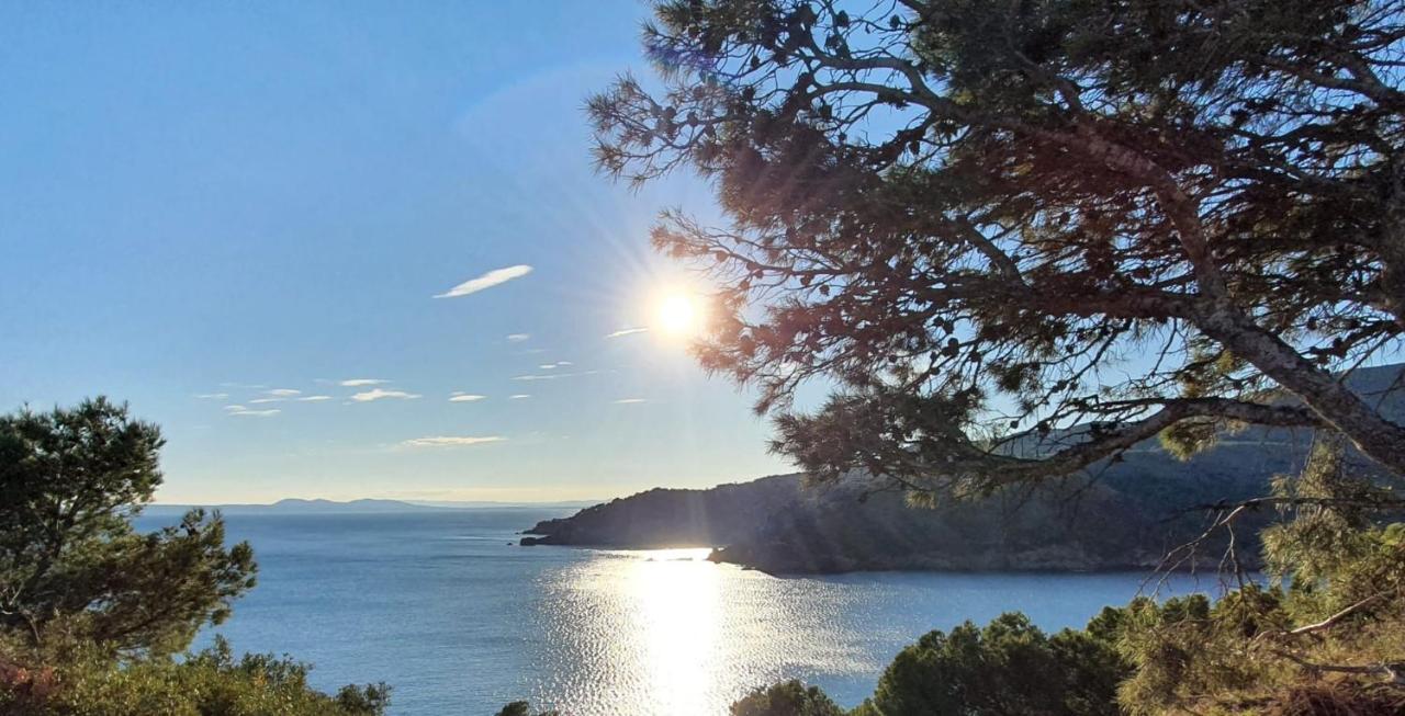 Apartamento Beautiful 75m2 With View At The Beach, Pool, Parking Rosas