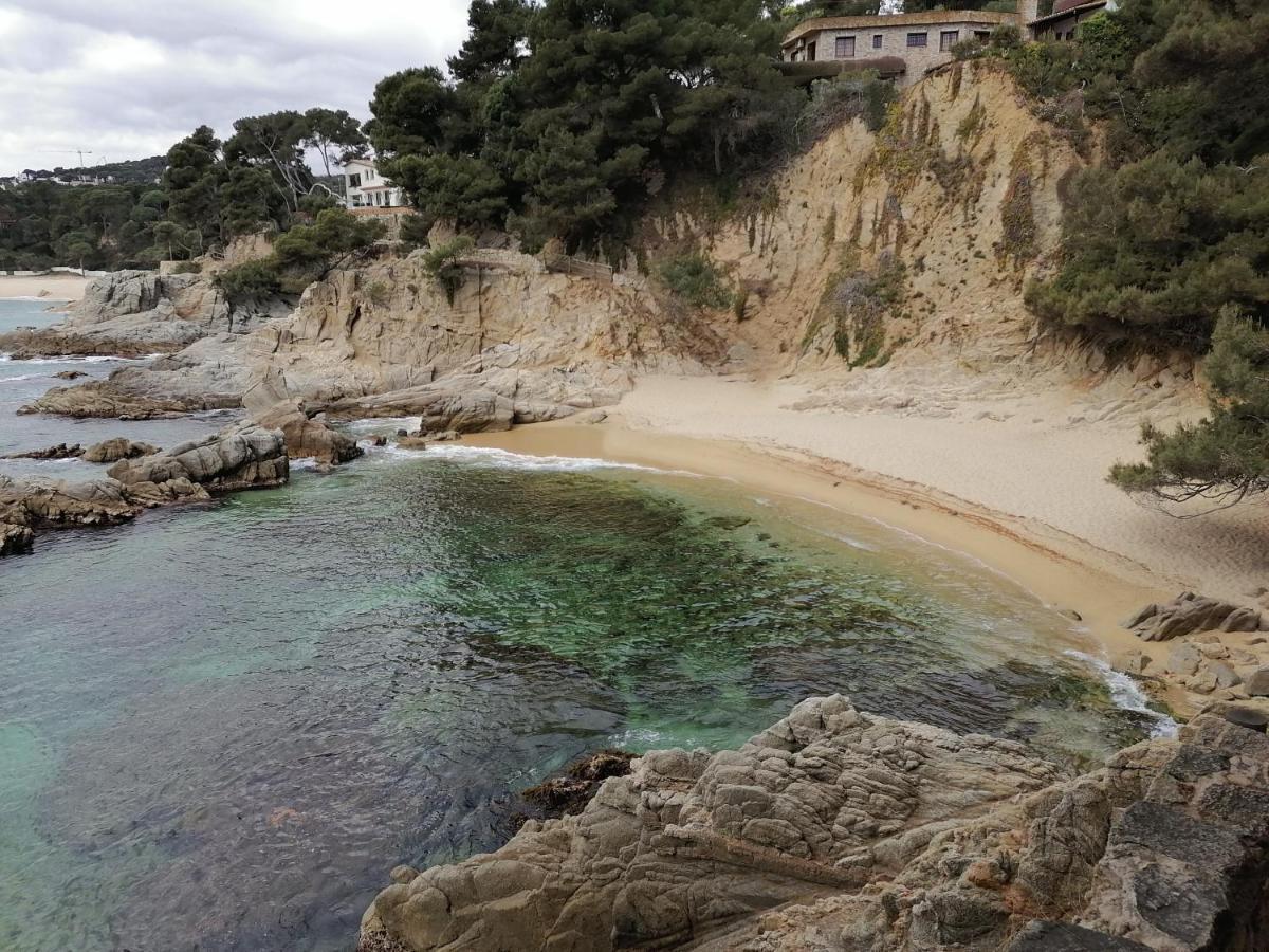 L'estartit, Estudio En Primera Linea De Mar.