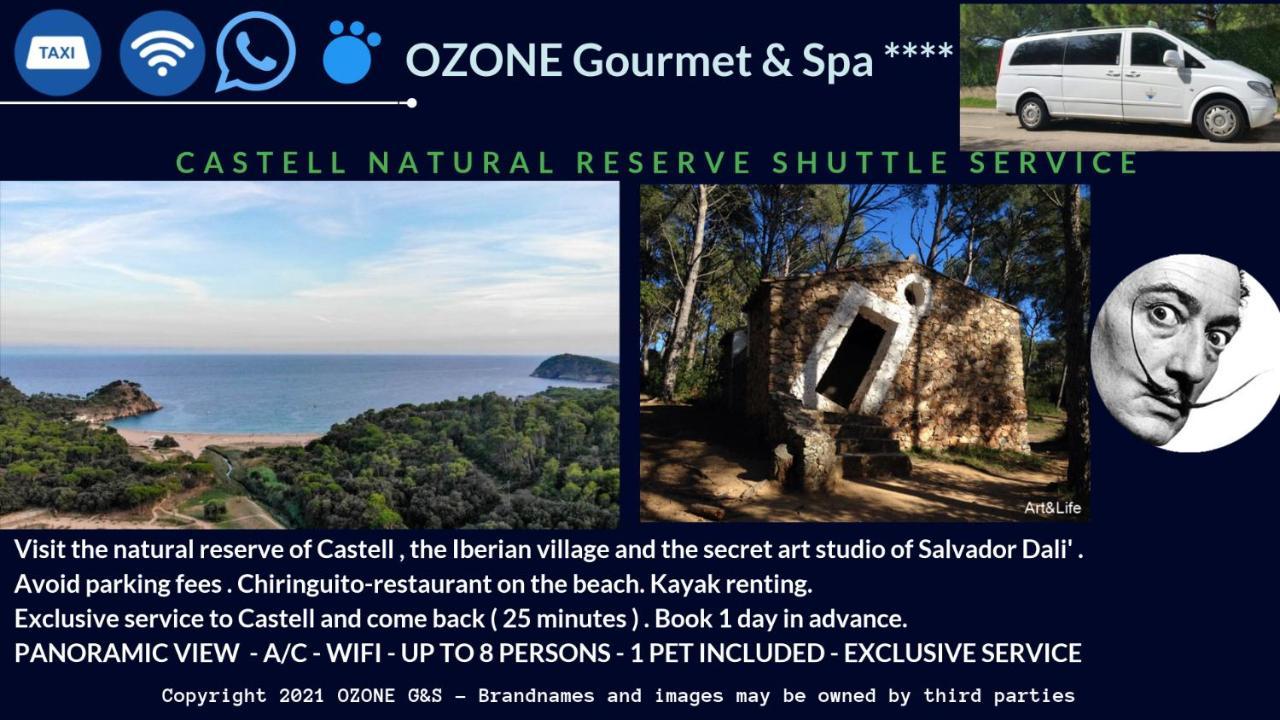 Ozone Gourmet & -
