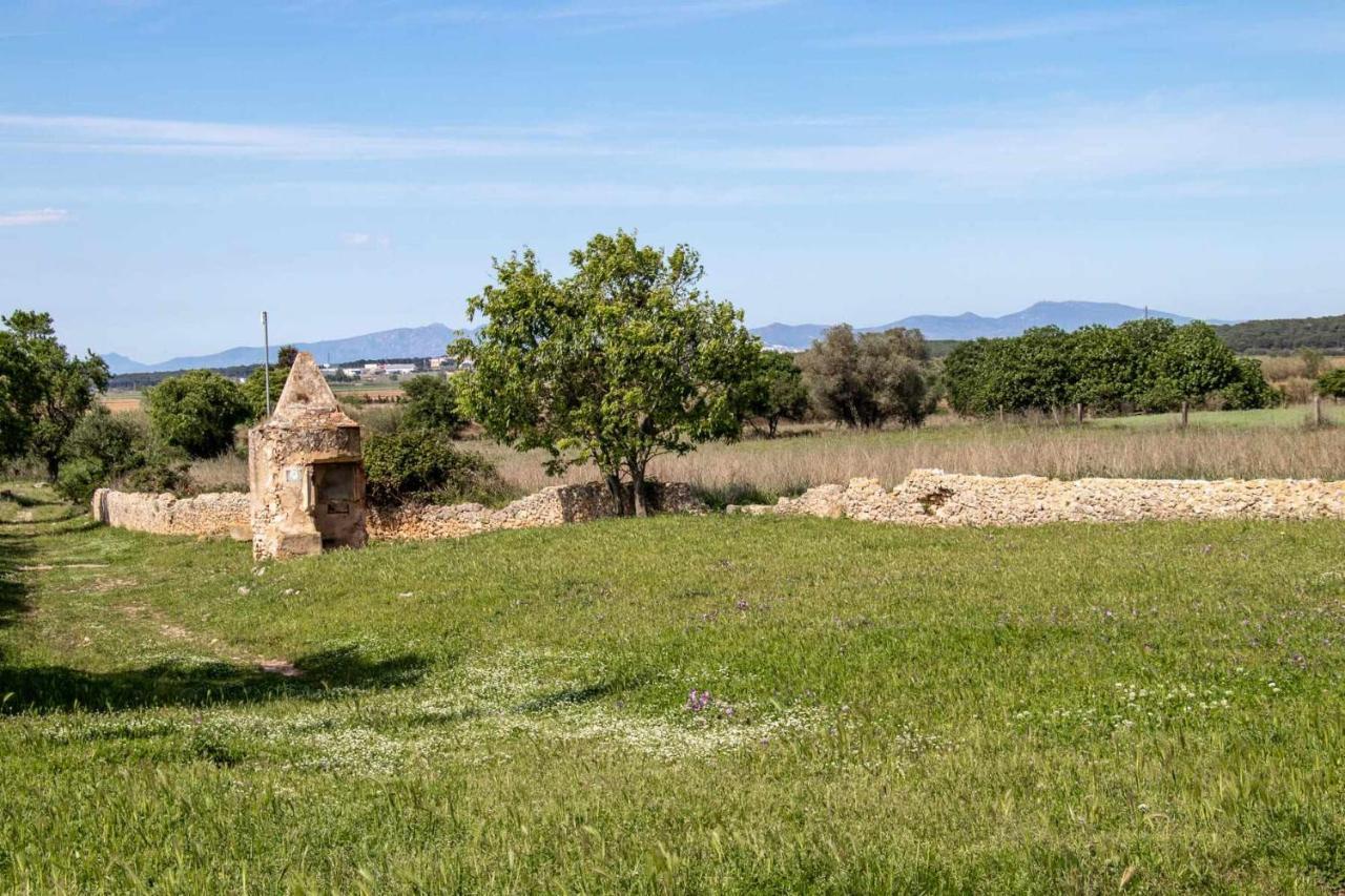 Ocells De Montgri Rural En El Emporda