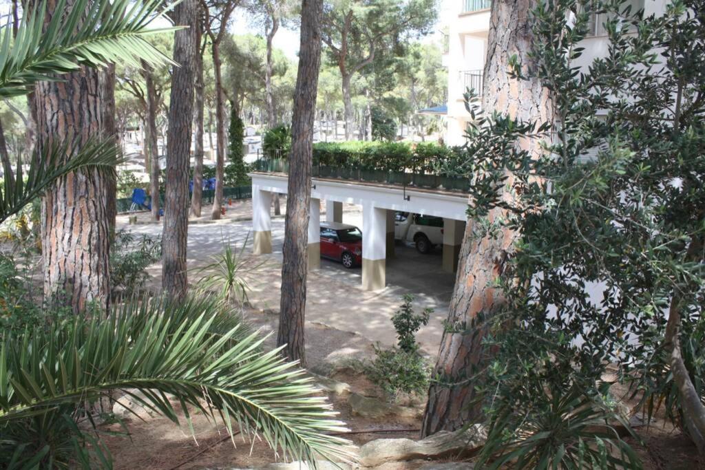 Precioso Con Piscina. * Pals