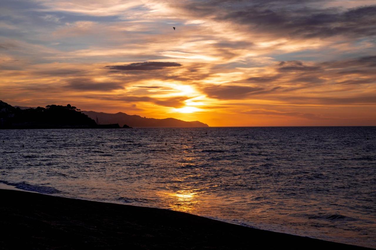 Séptimo Cielo Primera Línea De Mar Apartamento