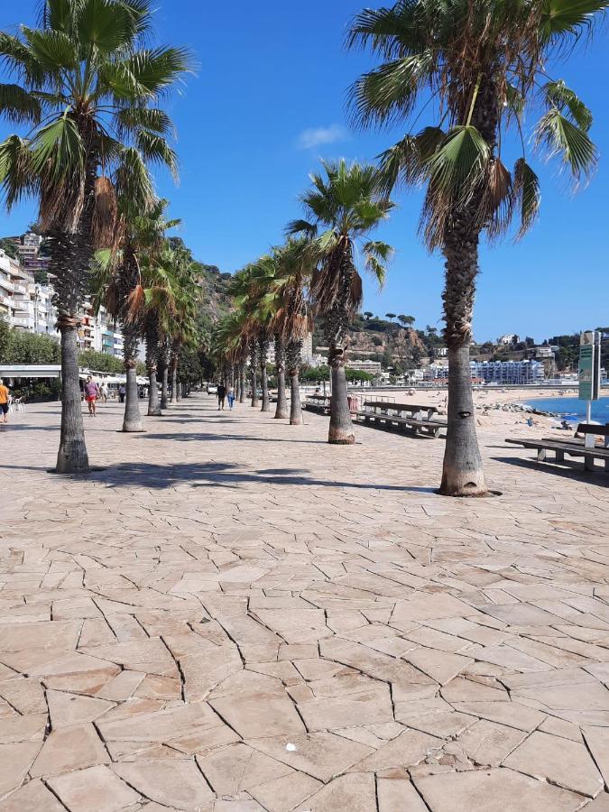Delante De La Playa