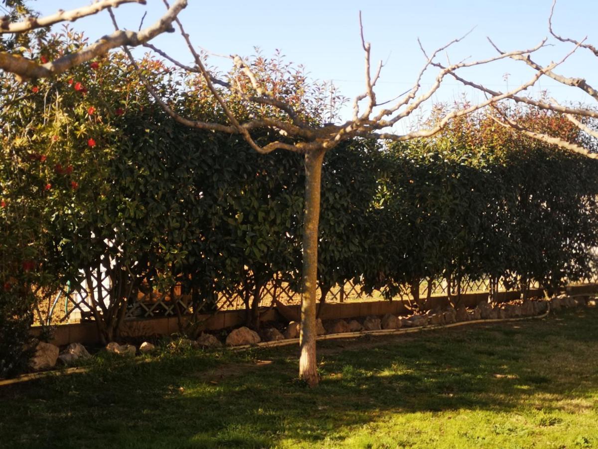 Сasa de vacaciones Casa Rural, Masia Antigua Restaurada