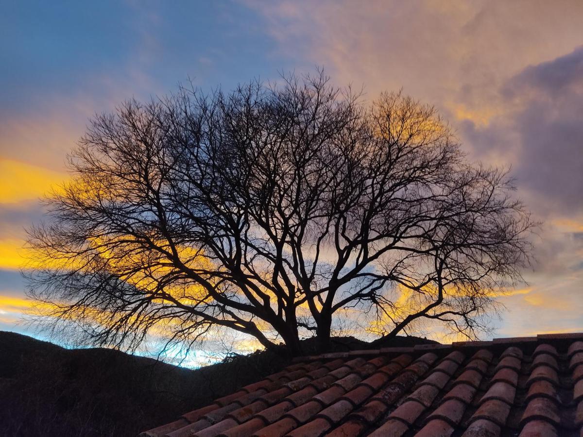 El Vilarot. La Casa De Piedra En La Naturaleza. * Gerona