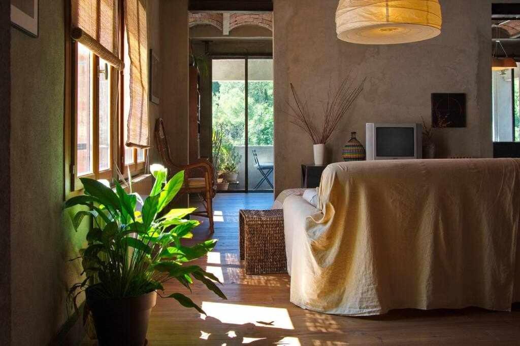 Sleep Y Artistico Loft Sant Daniel Gerona