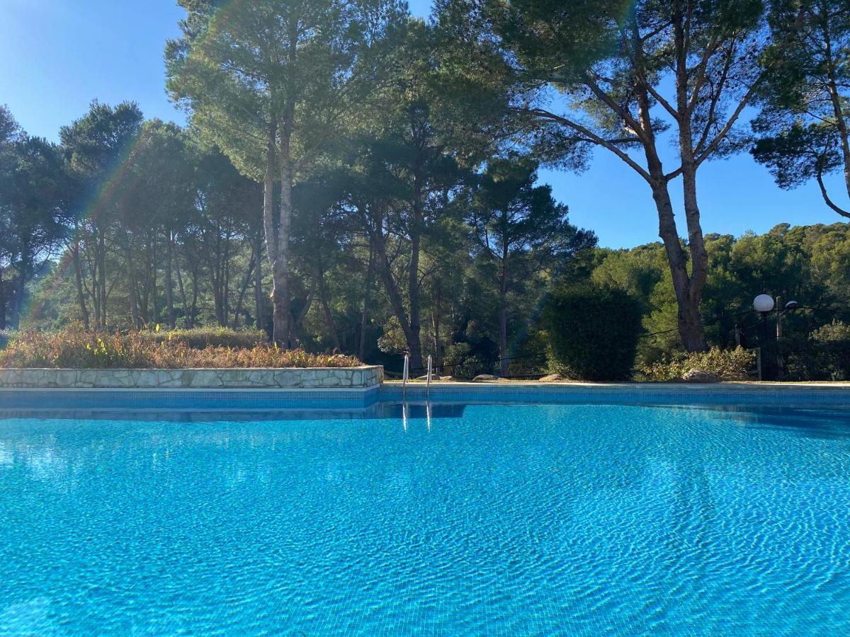 Apartamento Acogedor Con Piscina En Tamariu