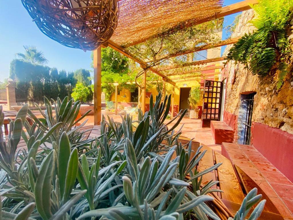 El Pedro De Apartment *