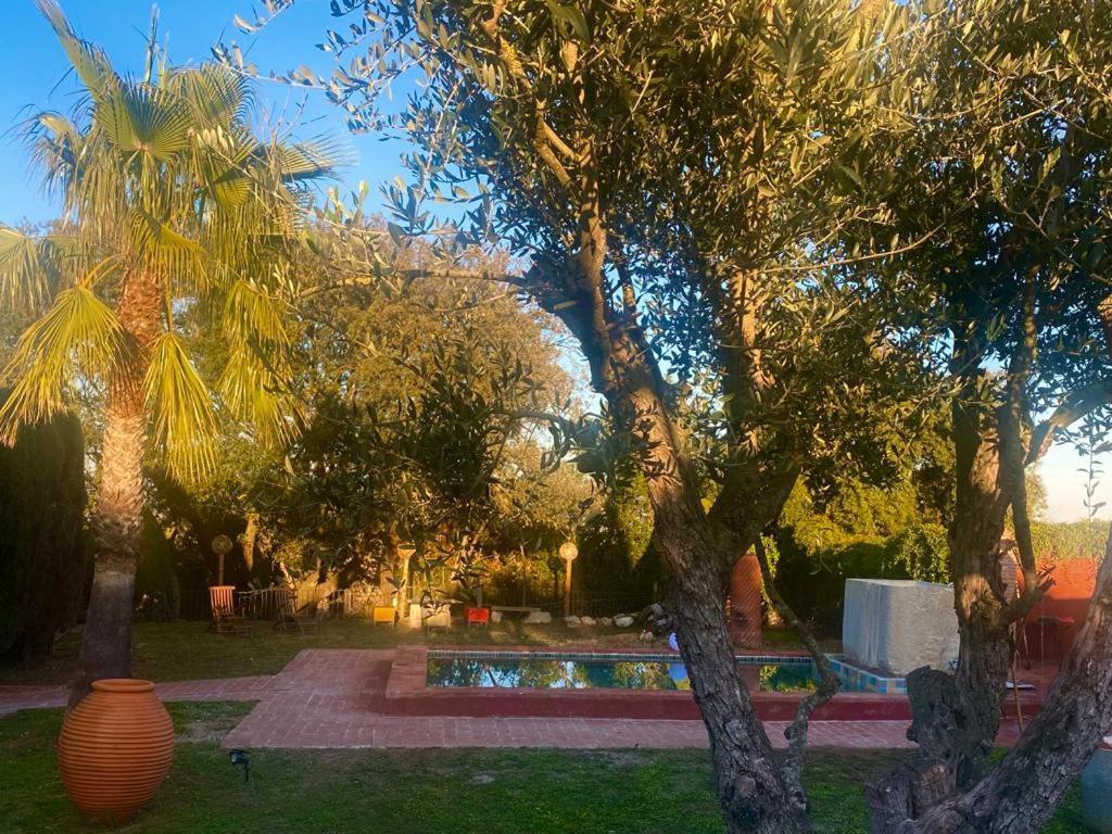 El Pedro De Ventallo