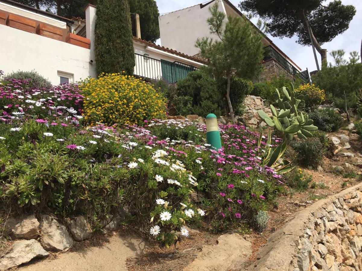 Islas Medas Apartment *